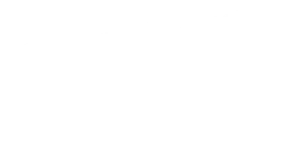 The Voice