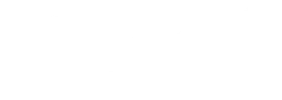 The Lifeguards