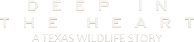 Deep in the Heart: A Texas Wildlife Story