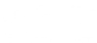 Beauties of the Night