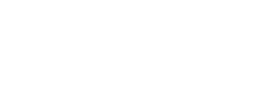 The November Man