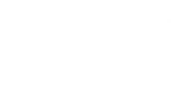 Rumble in the Bronx