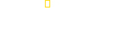 Continent 7: Antarctica